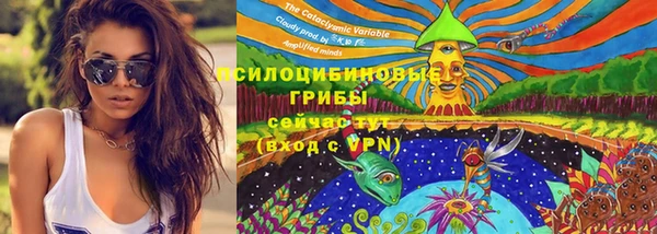 ГАЛЛЮЦИНОГЕННЫЕ ГРИБЫ Алексин
